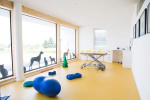Tierarzt für Hunde - Tierarzt in Zwettl