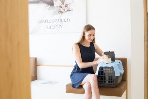Tierarzt für Kleintiere - Tierarzt in Zwettl